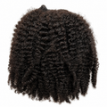 ‘Zanzibar’ Curl Bundles