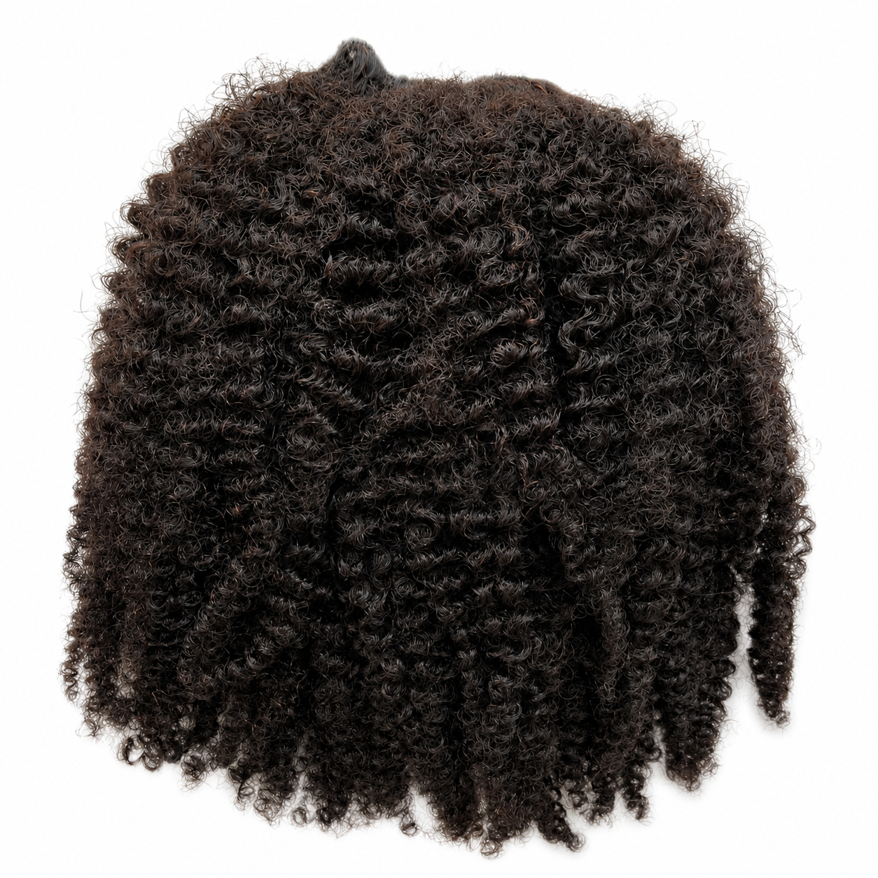 ‘Zanzibar’ Curl Bundles