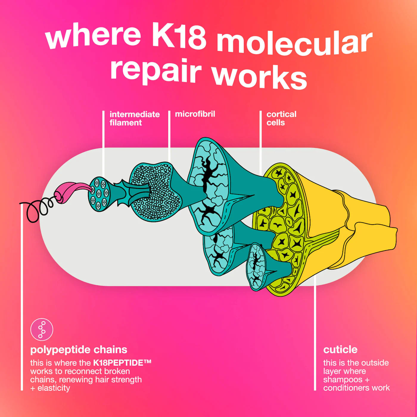 K18 Biomimetic Hairscience Leave-In Molecular Repair Hair Mask